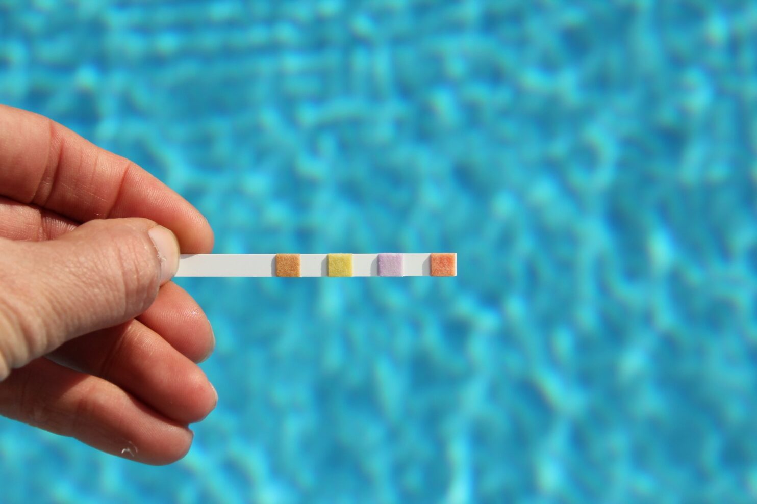 certified pool operator reviewing a test strip